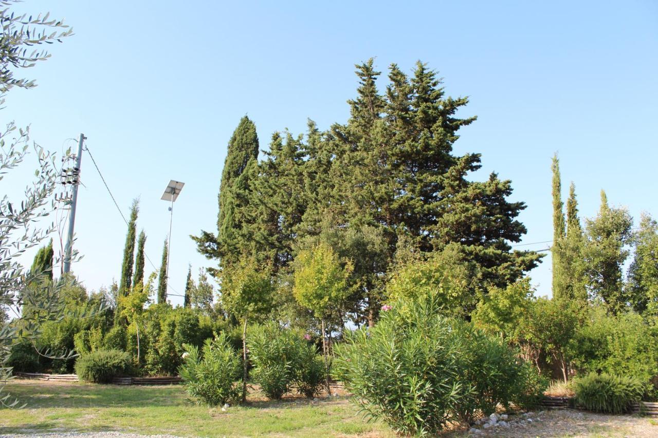 Toscana Biovillage - Private Cottage Cecina  Buitenkant foto