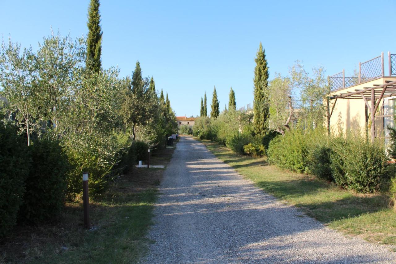 Toscana Biovillage - Private Cottage Cecina  Buitenkant foto