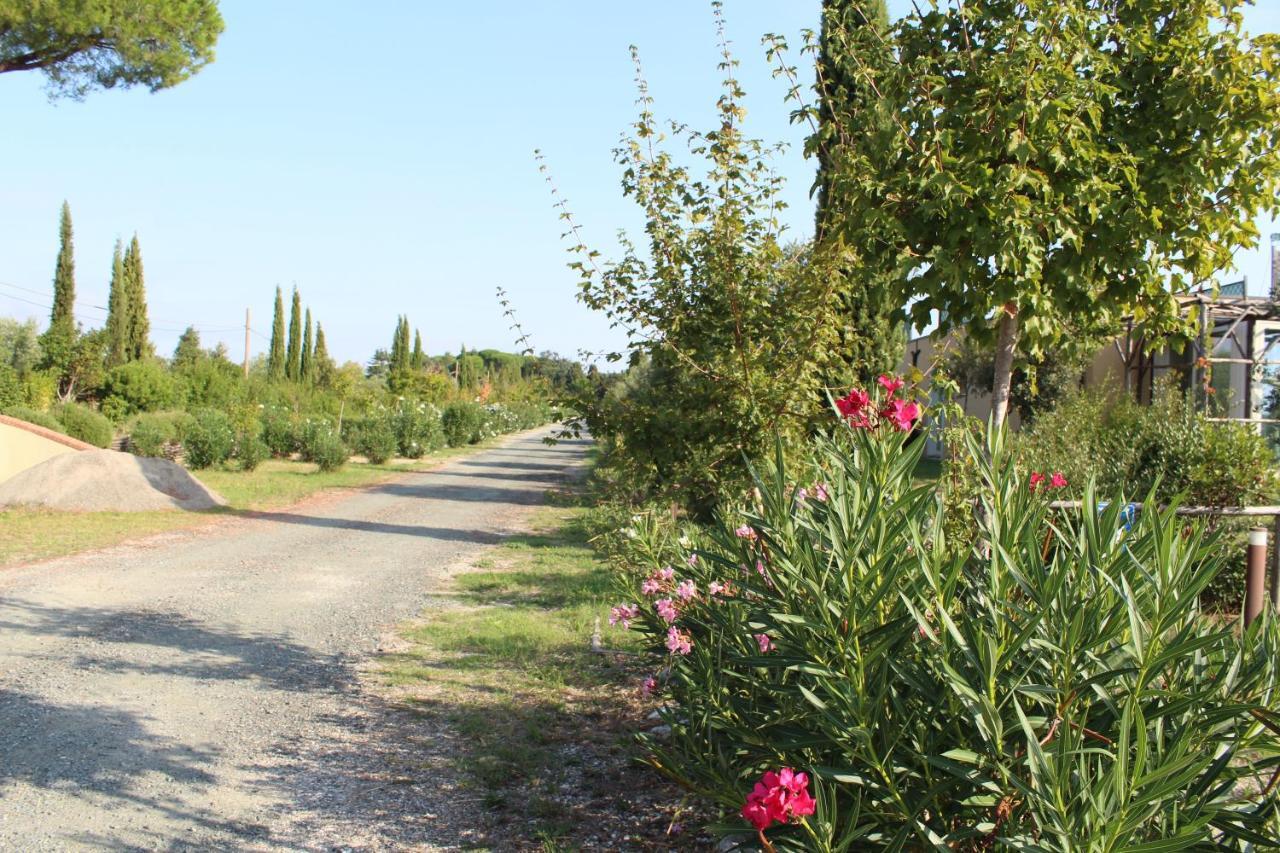 Toscana Biovillage - Private Cottage Cecina  Buitenkant foto