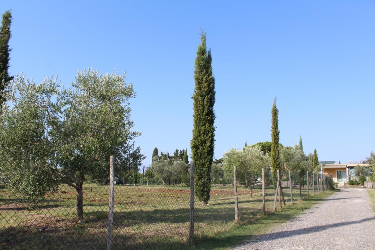 Toscana Biovillage - Private Cottage Cecina  Buitenkant foto